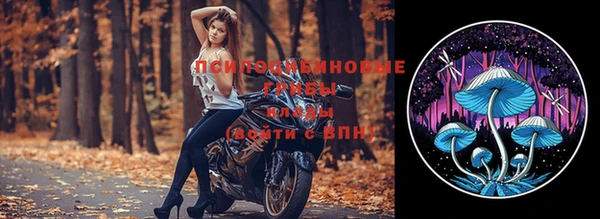 гидропоника Медногорск