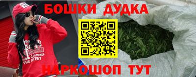 гидра Заводоуковск
