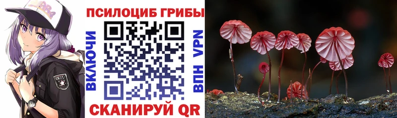 маркетплейс наркотические препараты  Торжок  Псилоцибиновые грибы Cubensis 