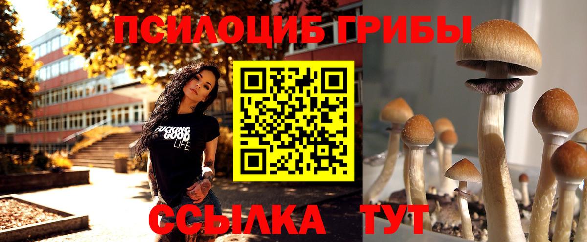 Галлюциногенные грибы мухоморы Торжок