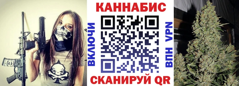 где можно купить   Торжок  Канабис конопля 